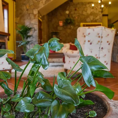 فندق El Tejar 2*