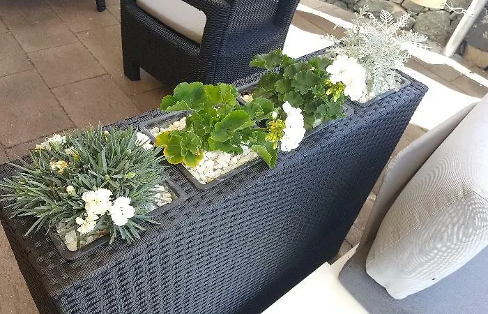 El Tejar Vilaflor de Chasna