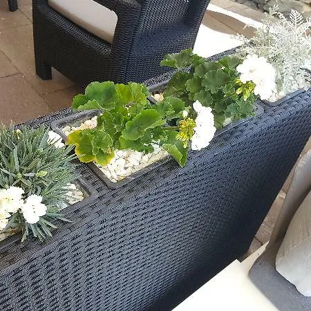 El Tejar וילפלור