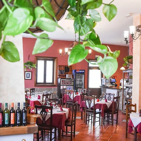 El Tejar 2* 维拉弗洛尔