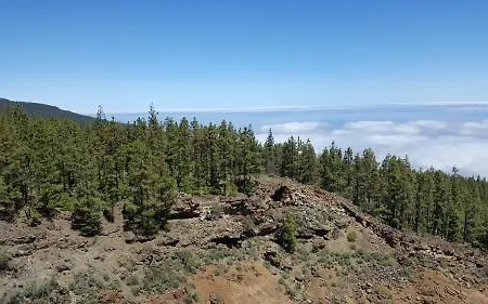 El Tejar 2* 维拉弗洛尔